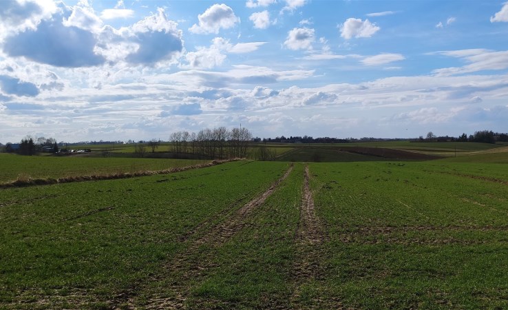 parcel for sale - Jastków, Piotrawin
