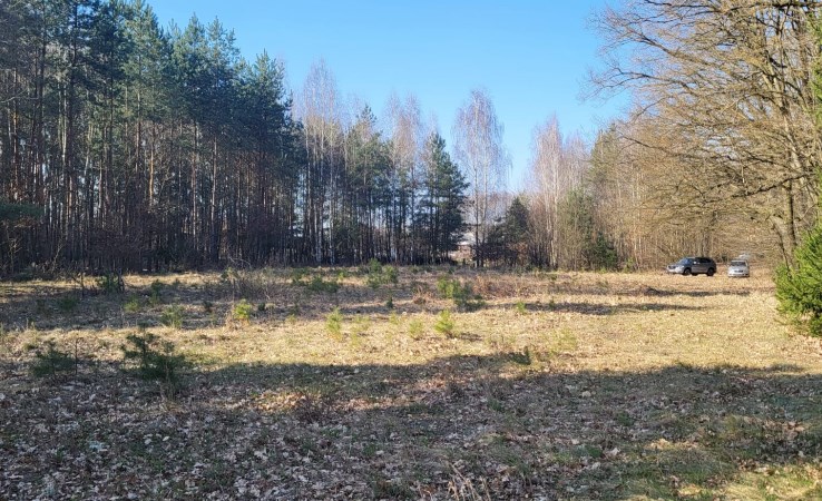 działka na sprzedaż - Ryki, Julin