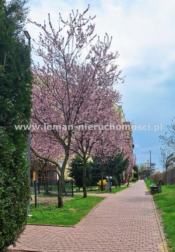 agencja nieruchomości Lublin