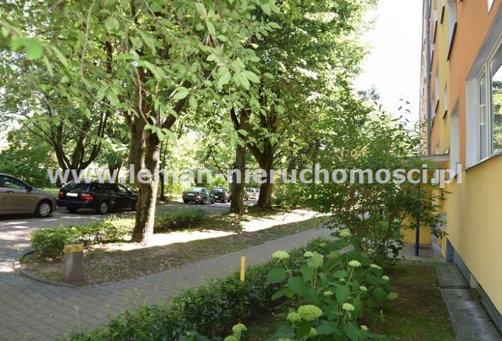 anma Lublin