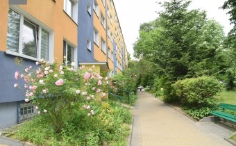 agencja nieruchomości Lublin