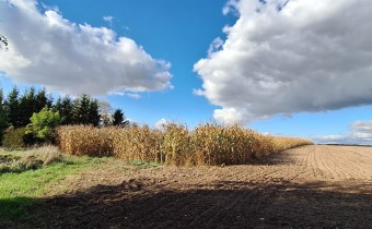 nieruchomości Lublin