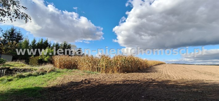 nieruchomości Lublin