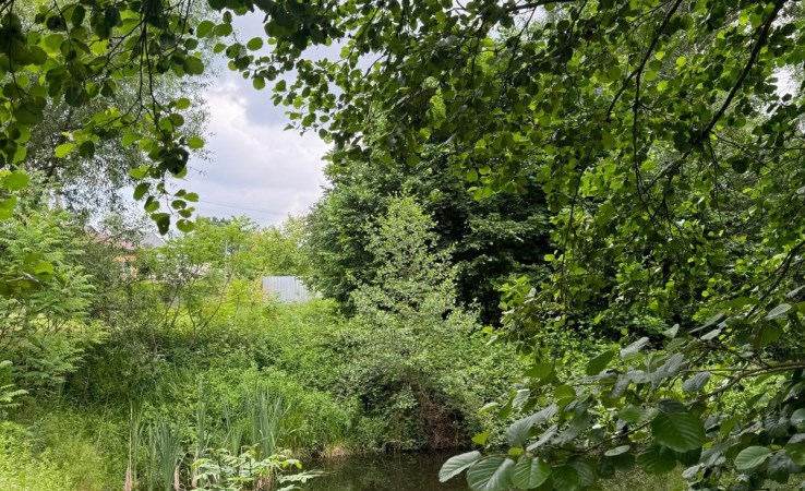 działka na sprzedaż - Poniatowa (gw), Dąbrowa Wronowska