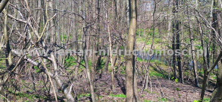 agencja nieruchomości Lublin