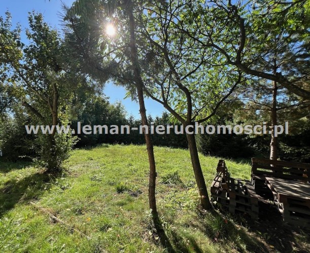 anma Lublin